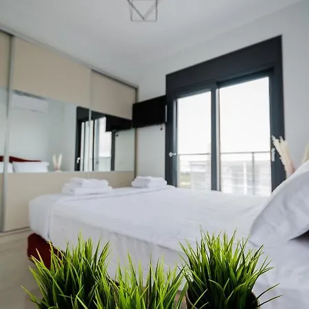 Salandore Blue * Finikounta